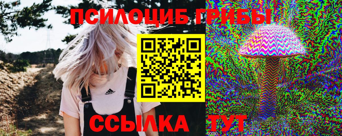 Сарапул  Псилоцибиновые грибы мицелий  Вход с VPN 